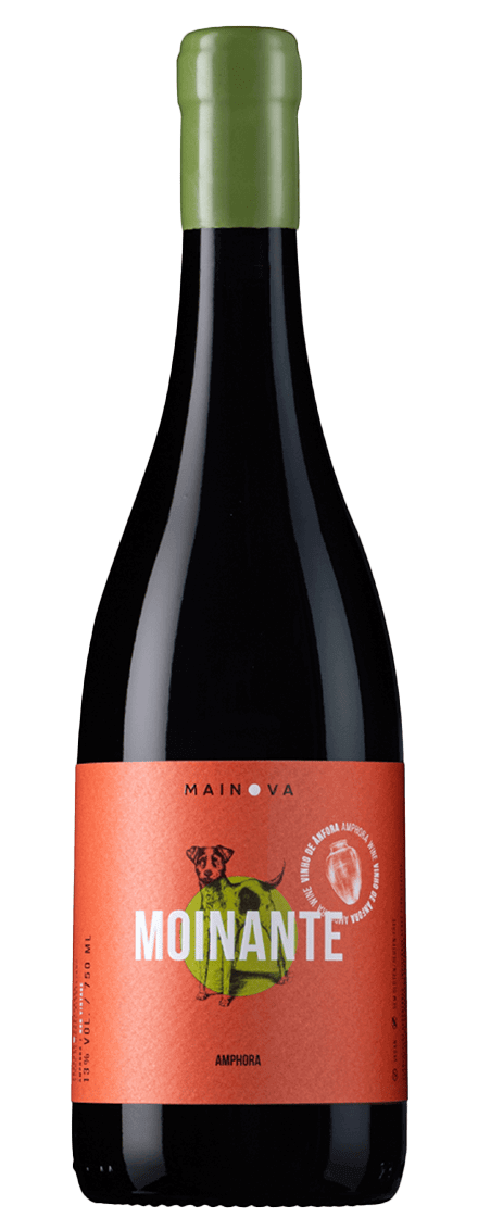 Moinante Amphora