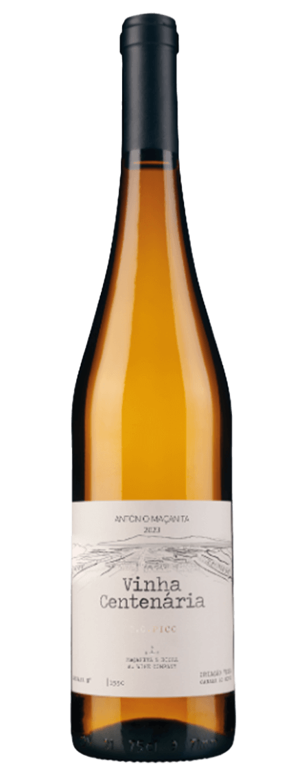 Vinha Centenária