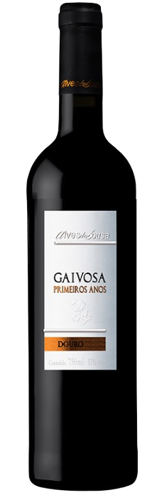 Gaivosa Primeiros Anos 2021