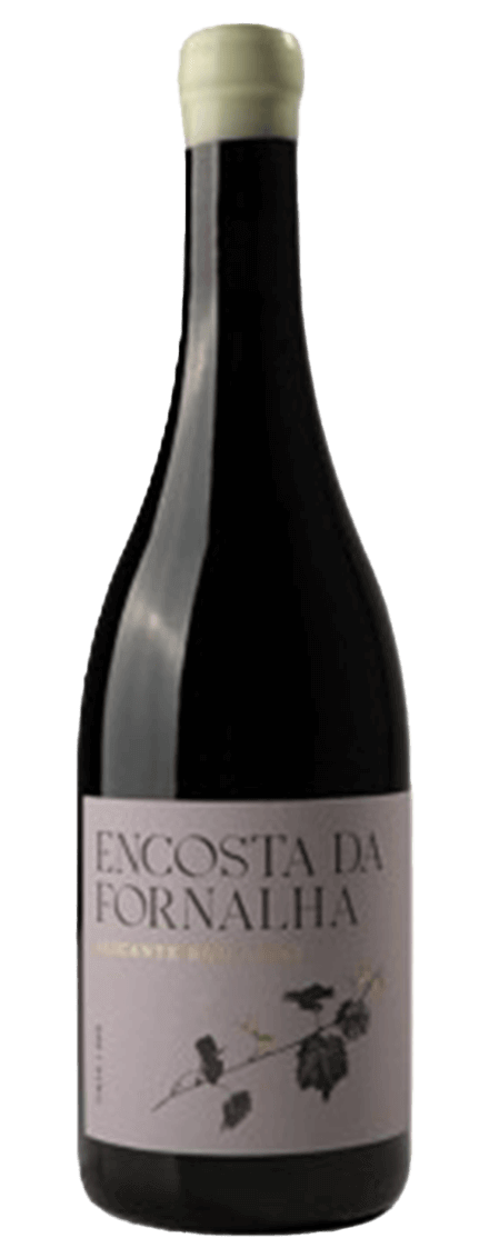 Encosta da Fornalha Alicante Bouschet