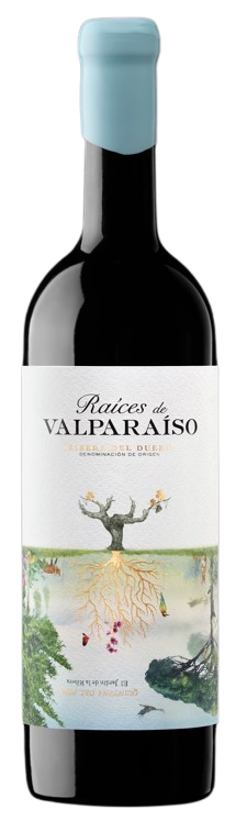 Raíces de Valparaíso