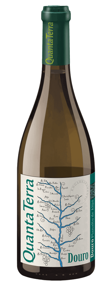 Quanta Terra Grande Reserva White
