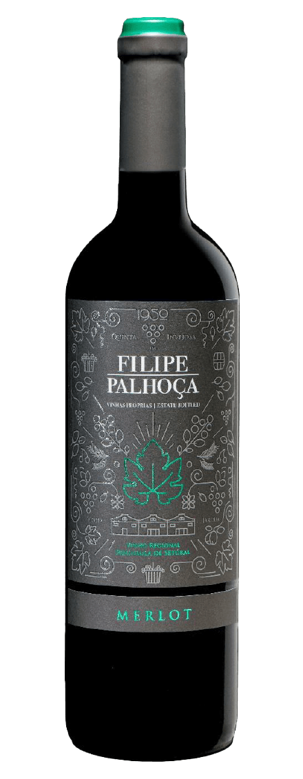 Filipe Palhoça Merlot