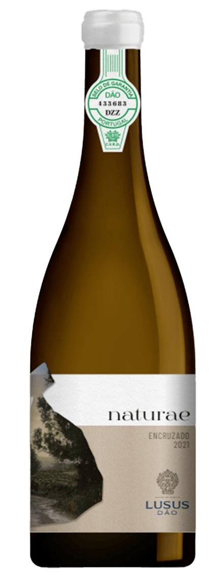 Naturae by Lusus 2021