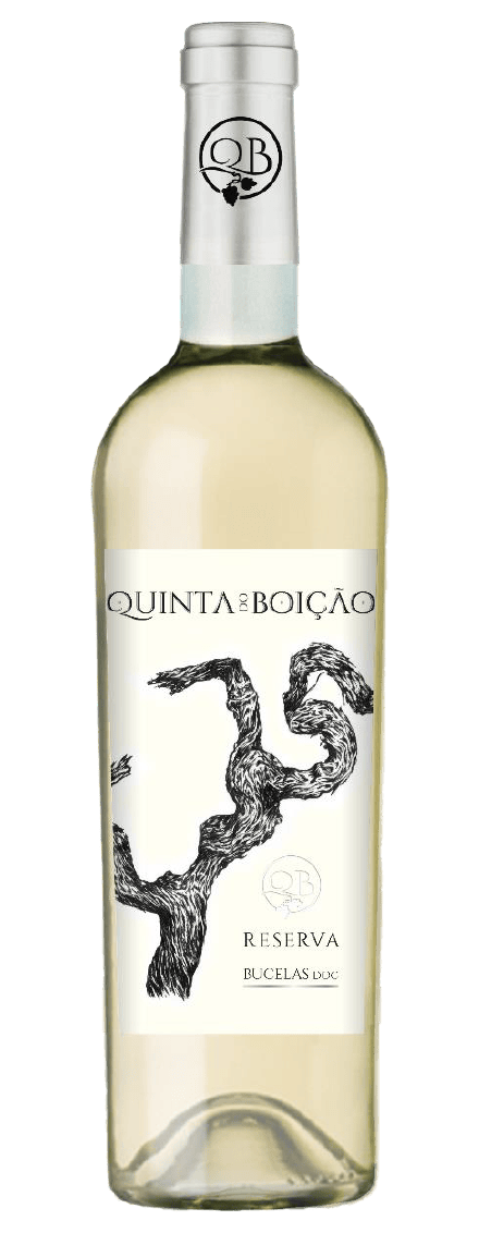 Quinta do Boição Reserva White