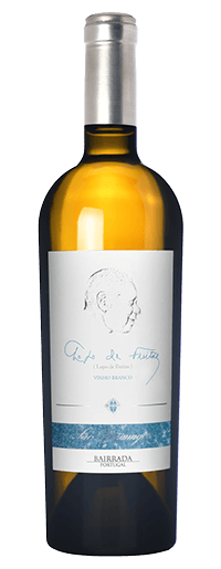 Branco Lopo de Freitas 2019