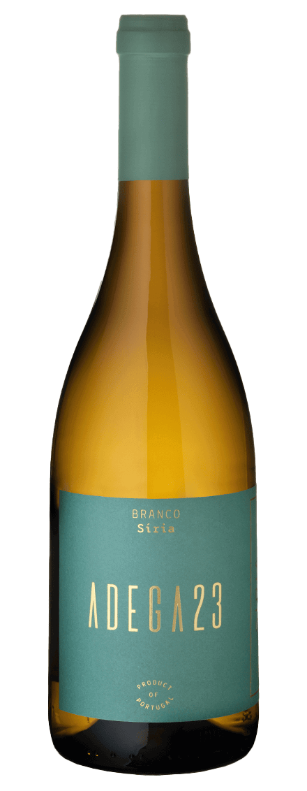 Adega 23 Síria