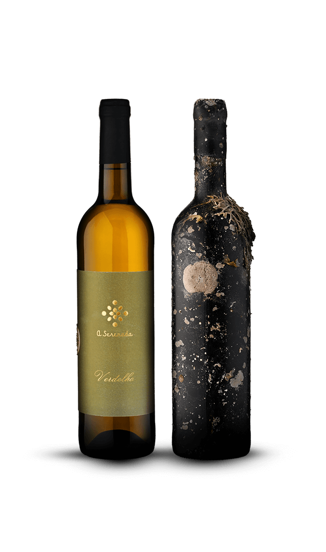Special Pack Verdelho