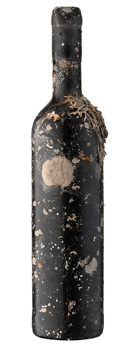 Serenada Vinho do Mar White