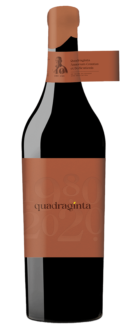 Quadraginta Red