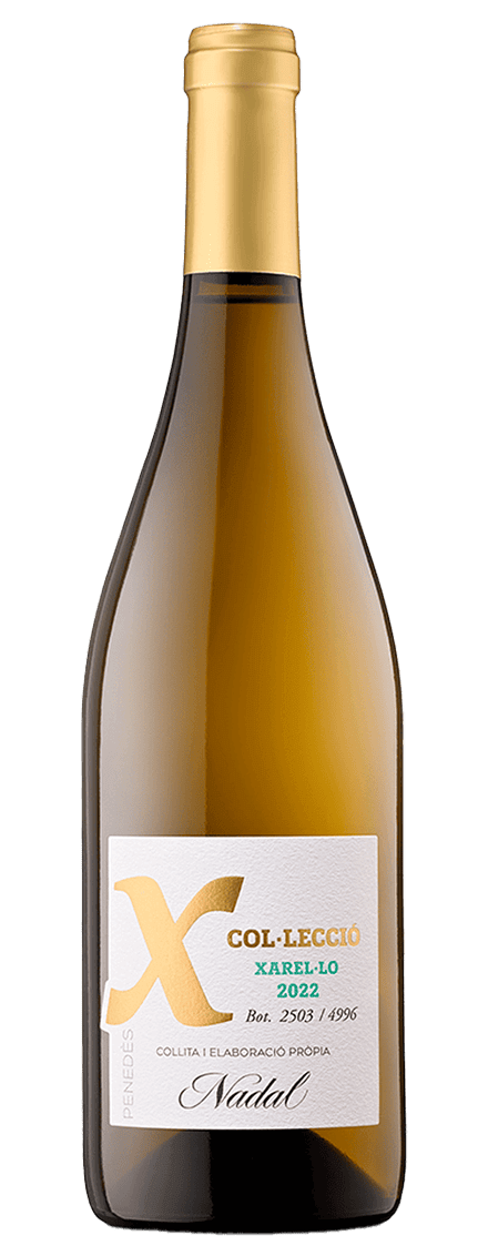 Nadal X Colección 2022