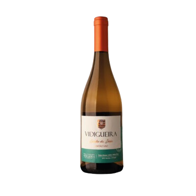 Escolha dos Sócios Antão Vaz