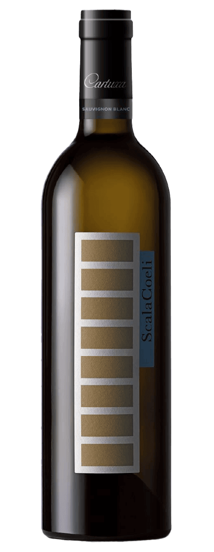 Scala Coeli White 2022