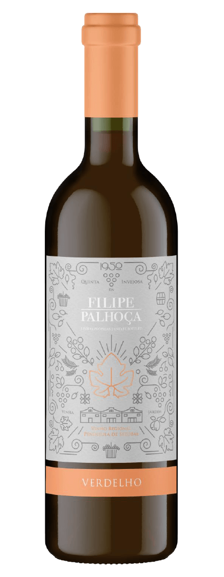 Filipe Palhoça Verdelho