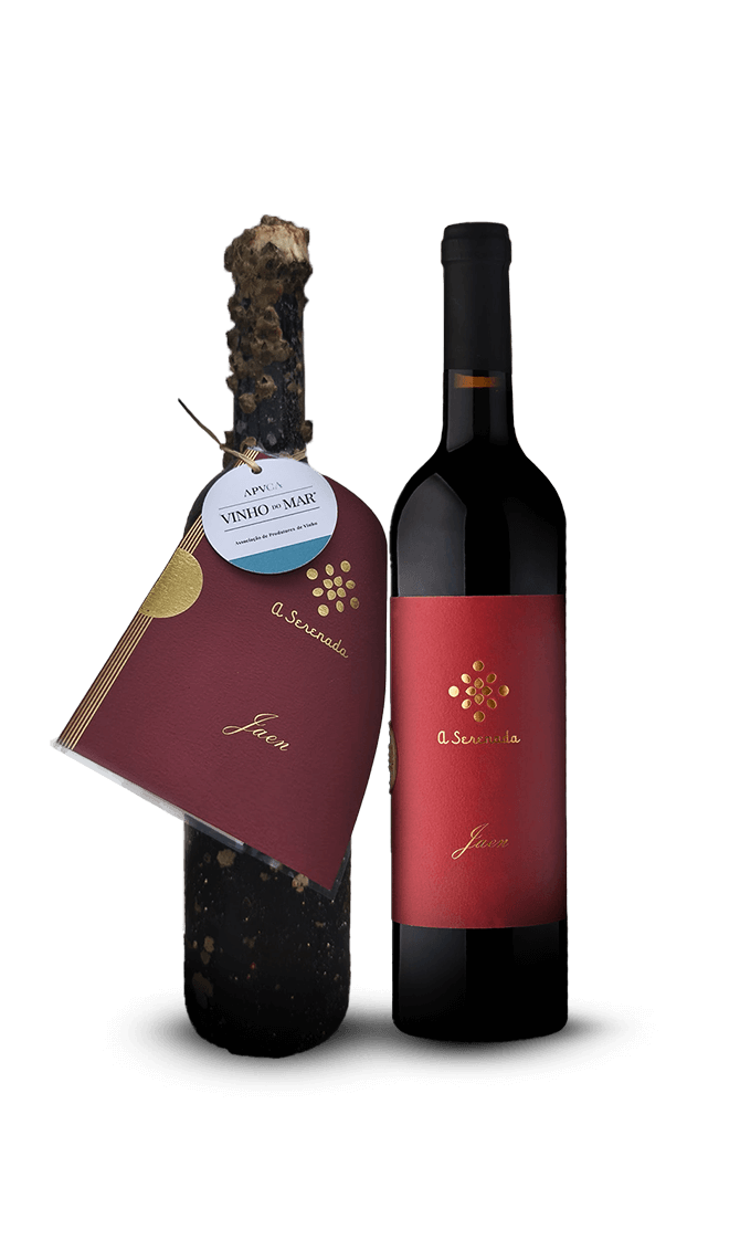 Jaen Pack - Earth & Sea