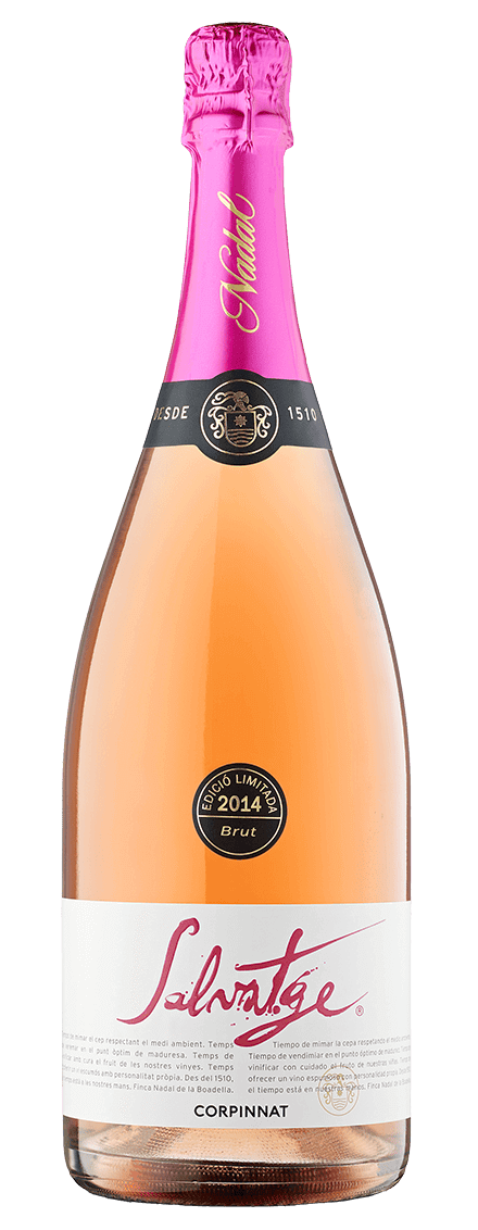 Grand Salvatge Brut Rosé 2014 Sparkling MAGNUM
