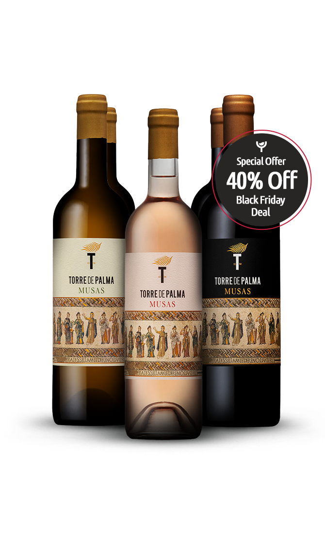 40% Off - Pack 6 x Musas Torre de Palma