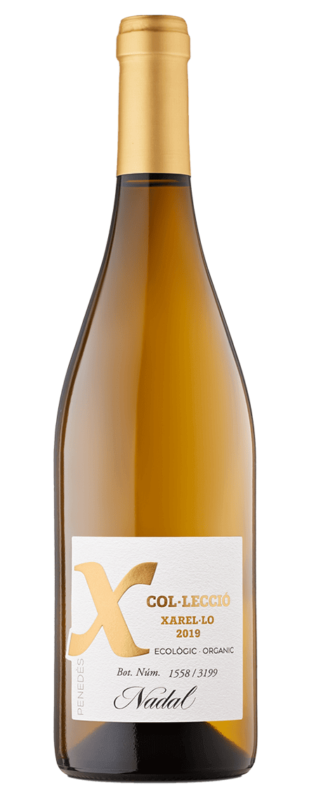 Nadal X Colección 2019