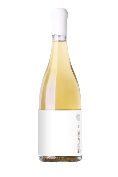 Morgado do Quintão White