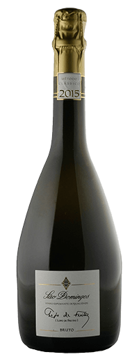 Lopo de Freitas Bruto