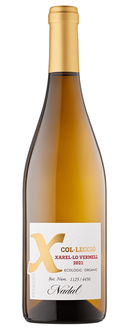 Nadal X Vermell Colección 2021