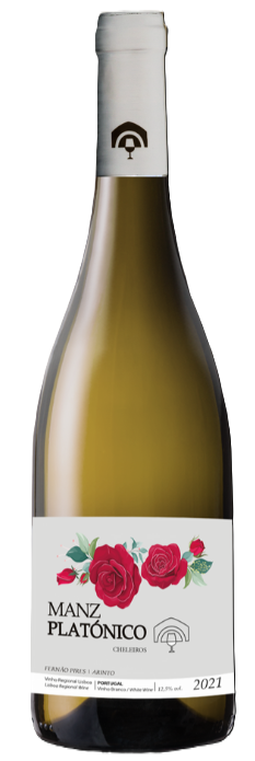 Manz Platónico White