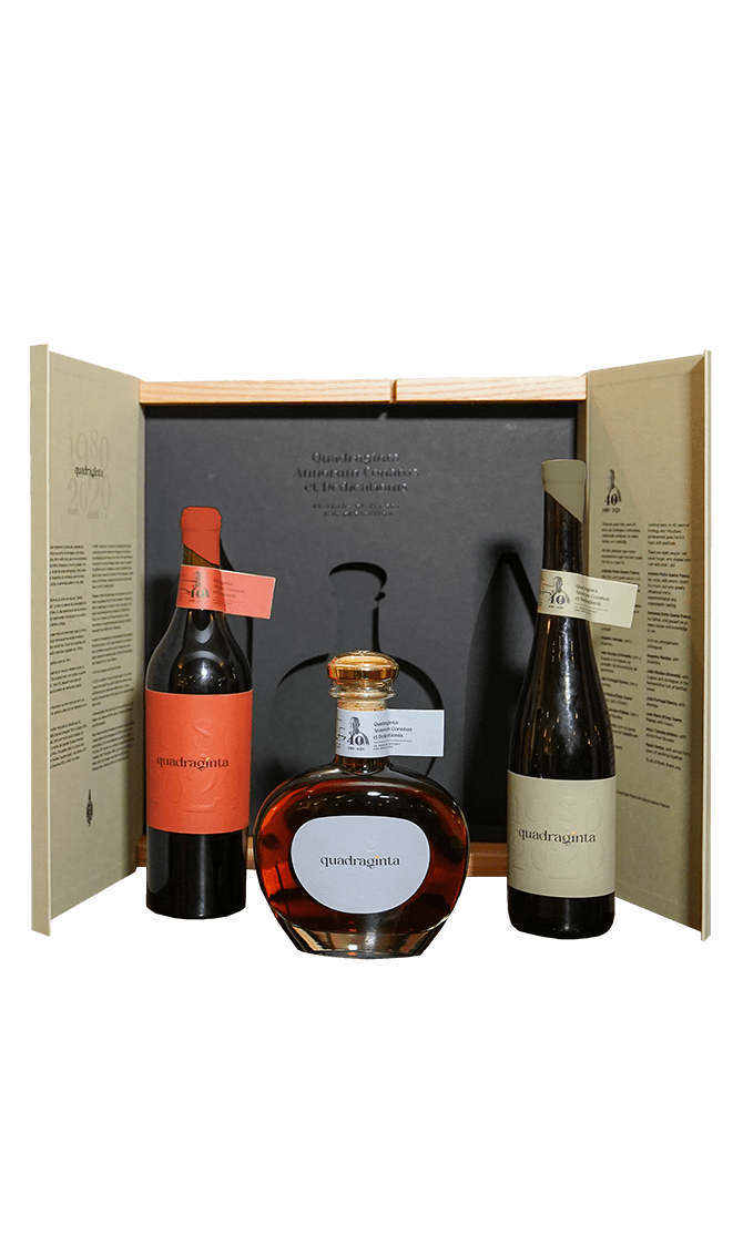 Pack da Trilogia Quadraginta