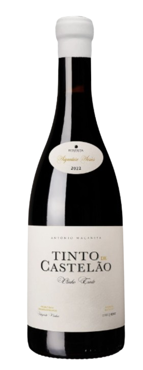 Tinto de Castelão