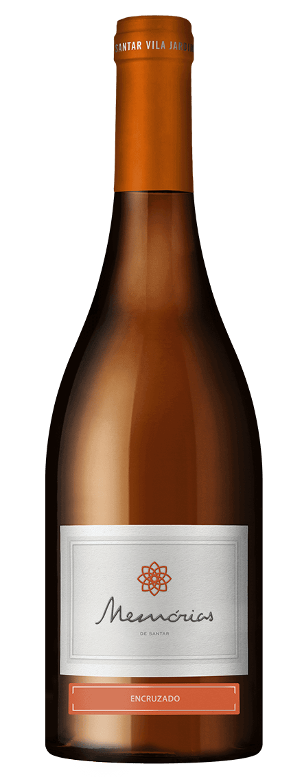 Memórias de Santar Encruzado