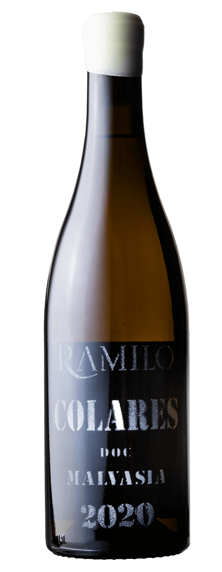 Malvasia Branco