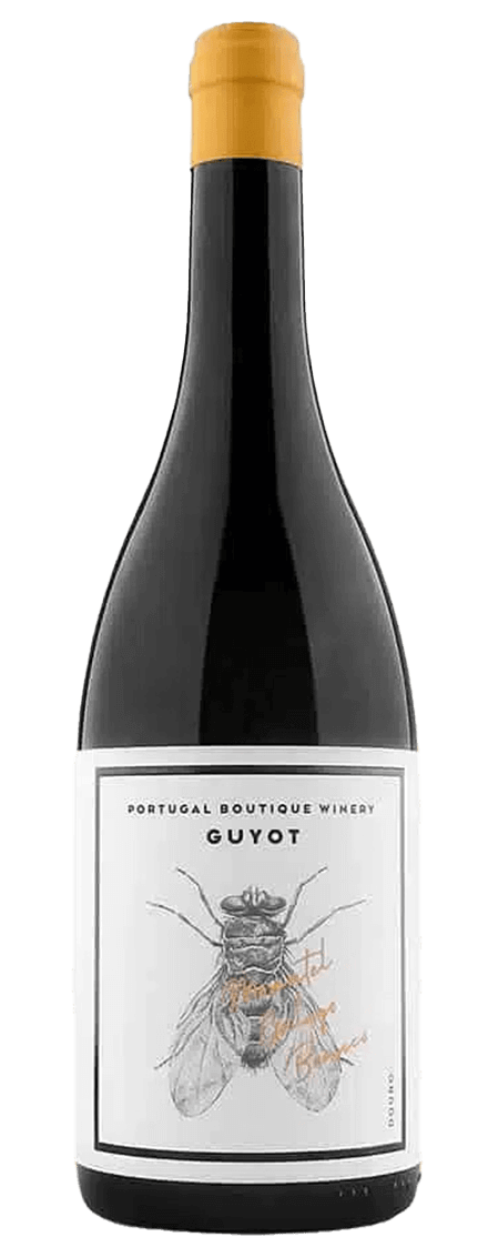 Guyot Moscatel Galego
