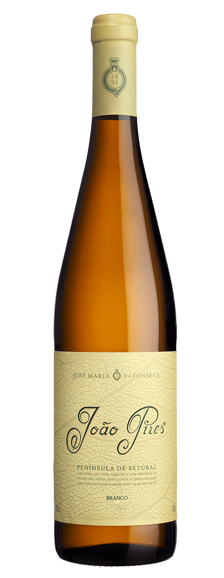 João Pires Branco