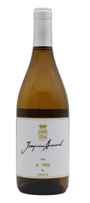 Joaquim Arnaud Arinto