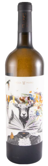 Adega Marel Ilustre White
