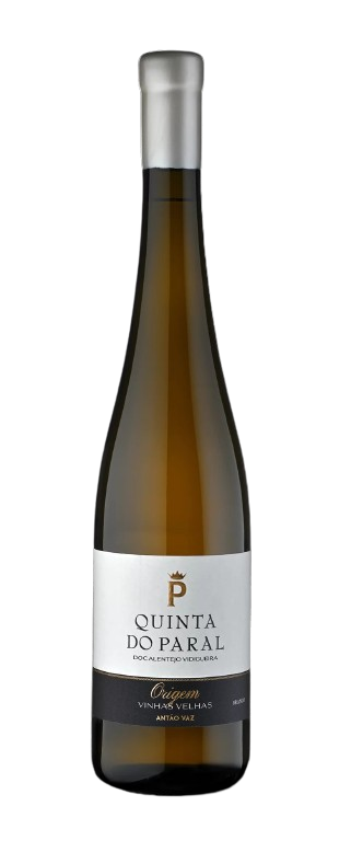 Origem Antão Vaz White