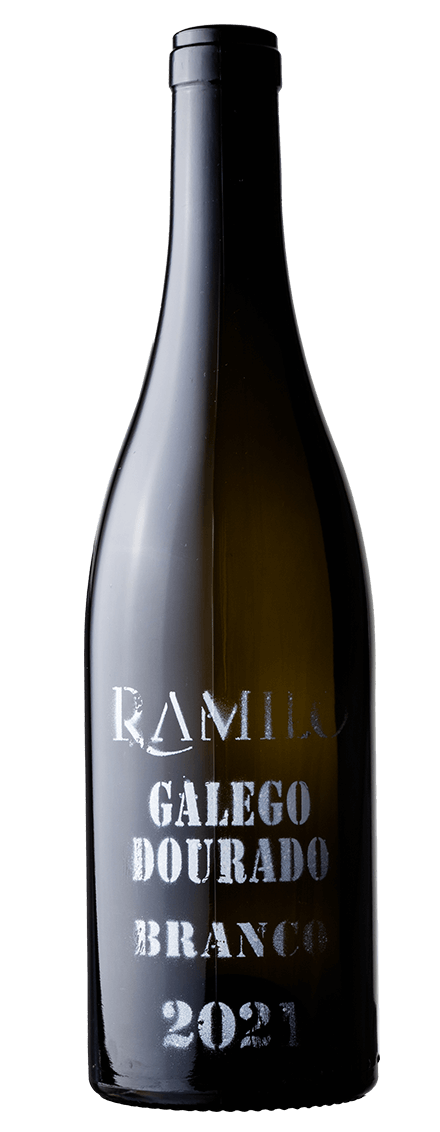 Galego Dourado Branco
