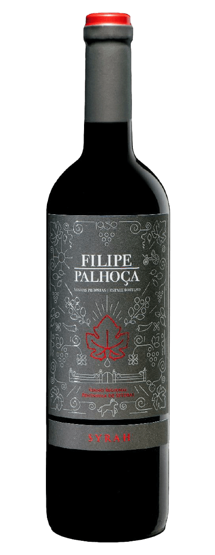 Filipe Palhoça Syrah