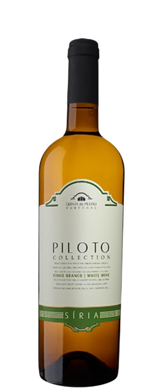 Quinta do Piloto Collection Síria