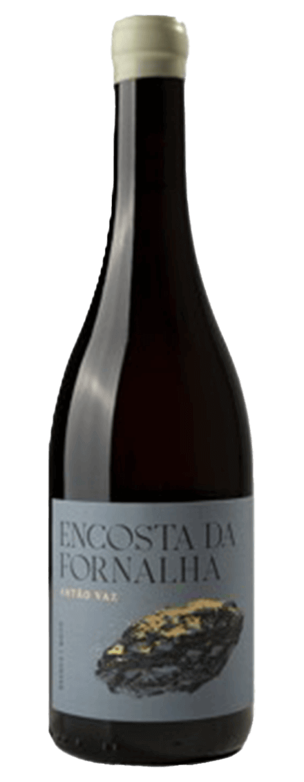 Encosta da Fornalha Antão Vaz