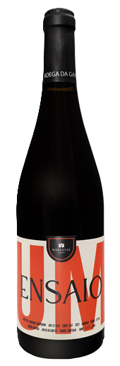 Adega da Gaveta Ensaio Um