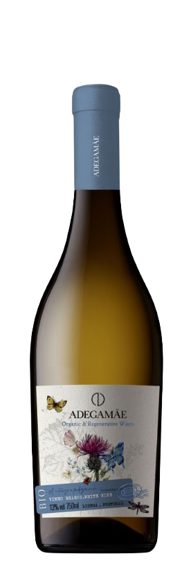 AdegaMãe BIO White