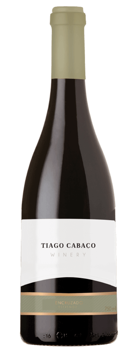 Tiago Cabaço Encruzado White